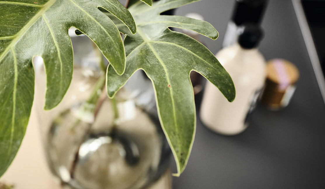 Lebensraum Badezimmer.